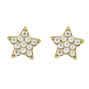 ORECCHINI A LOBO "ADANA" 8MM STELLA CON ZIRCONI IN ACCIAIO