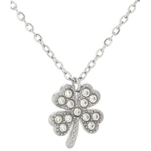 PENDENTE PORTAFORTUNA CON CATENA IN ACCIAO