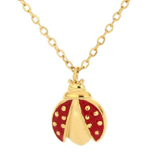 PENDENTE PORTAFORTUNA CON CATENA IN ACCIAO